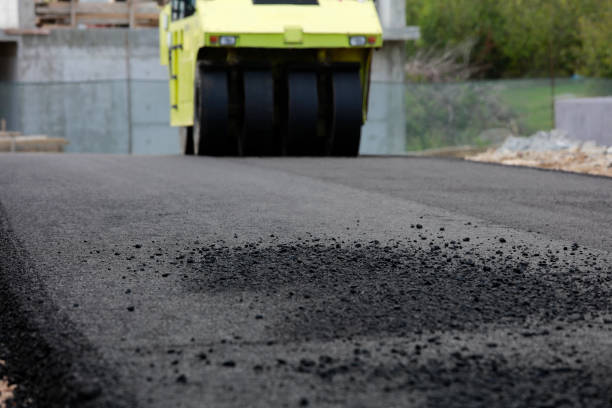 Best Decorative Driveway Pavers  in Bastrop, TX