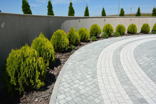 Best Local Driveway Pavers  in Bastrop, TX